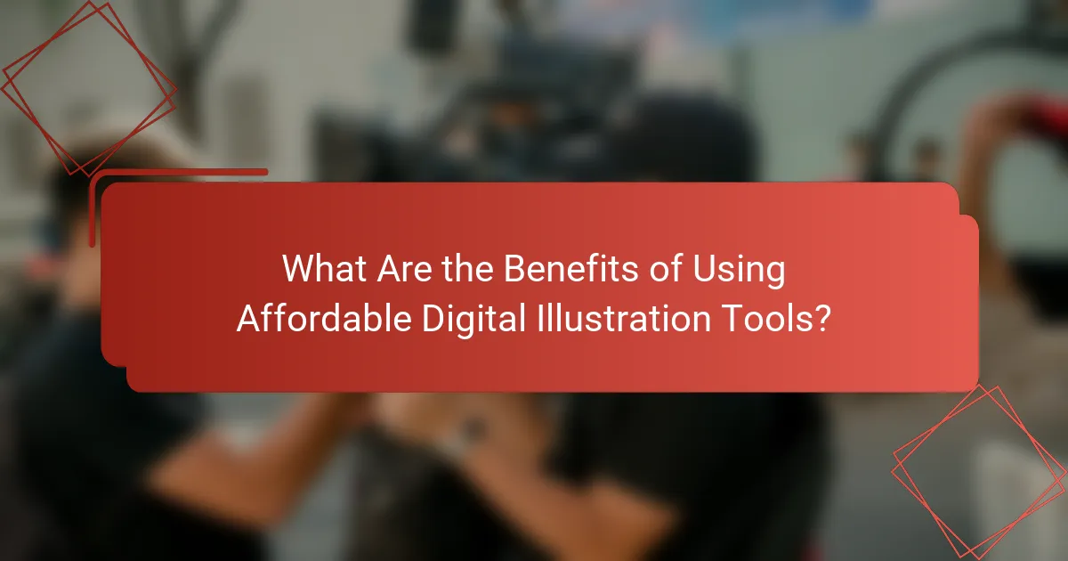 What Are the Benefits of Using Affordable Digital Illustration Tools?